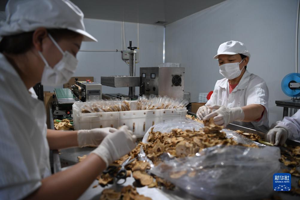 什么软件注册就领红包